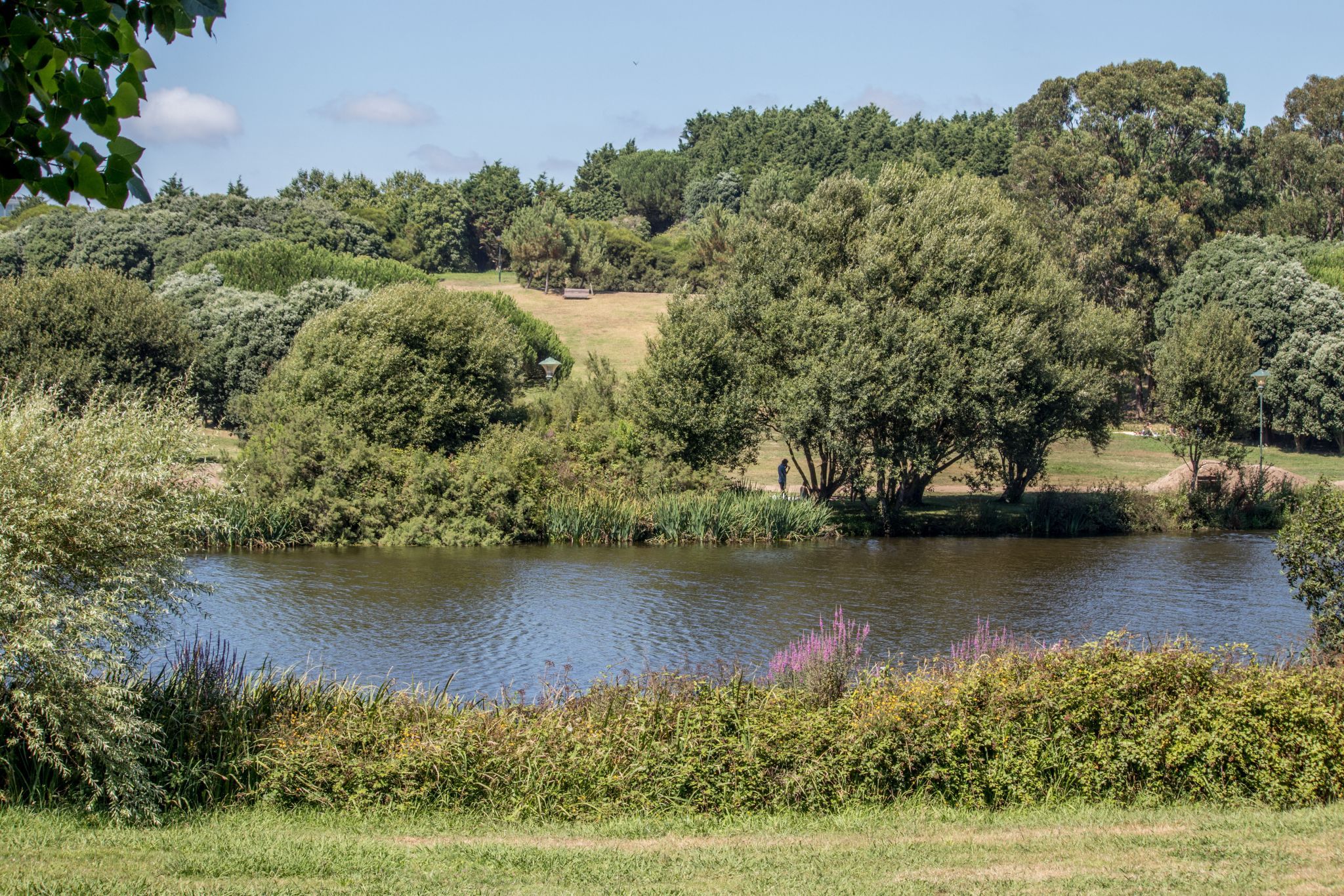 Parque da Cidade, Portugal