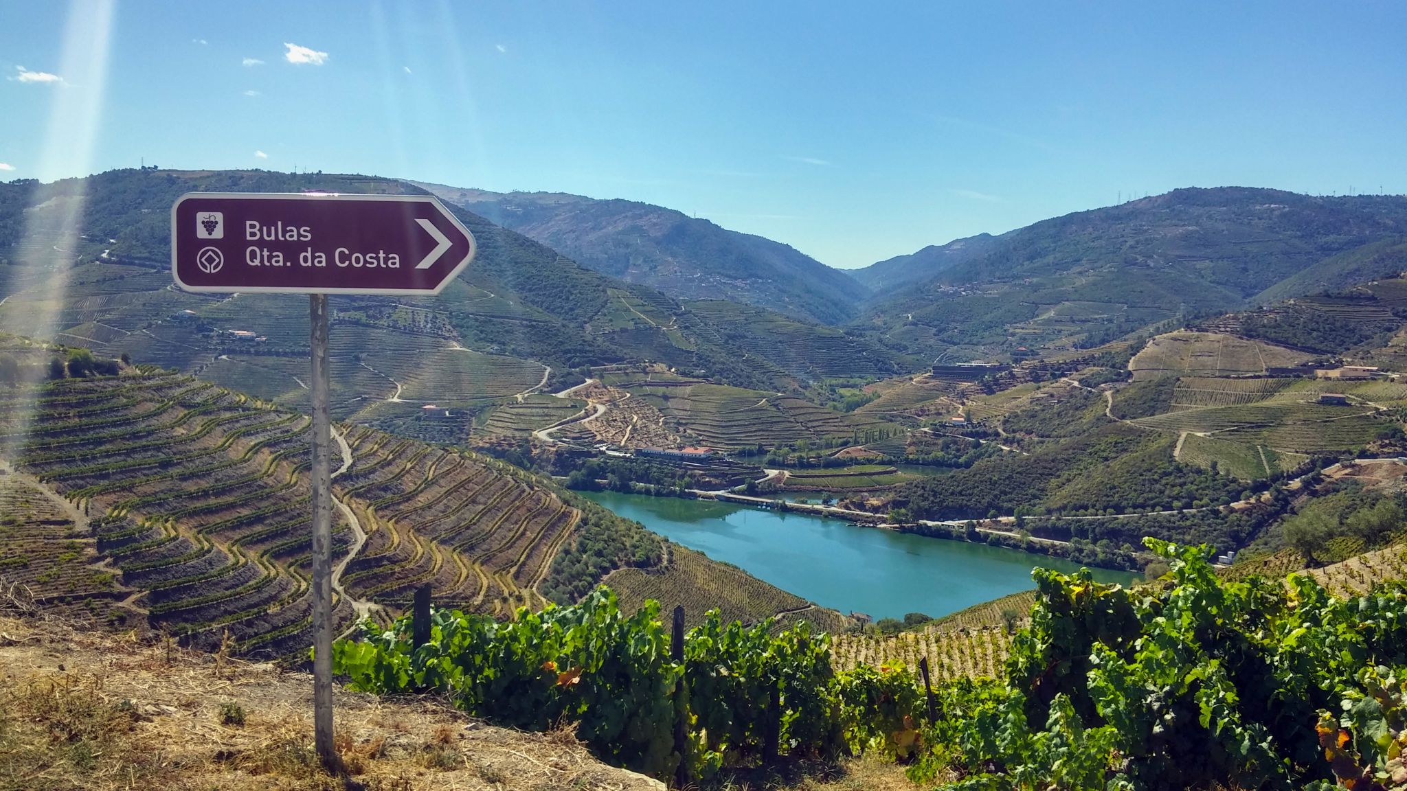 Quinta da Costa de Baixo - Bulas Winemakers, Portugal