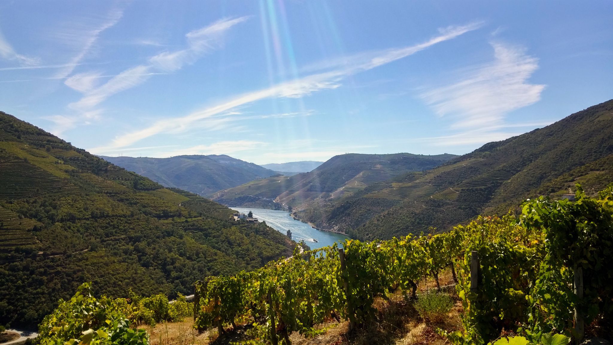 Quinta da Costa de Baixo - Bulas Winemakers, Portugal