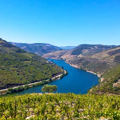 Quinta da Costa de Baixo - Bulas Winemakers, Portugal