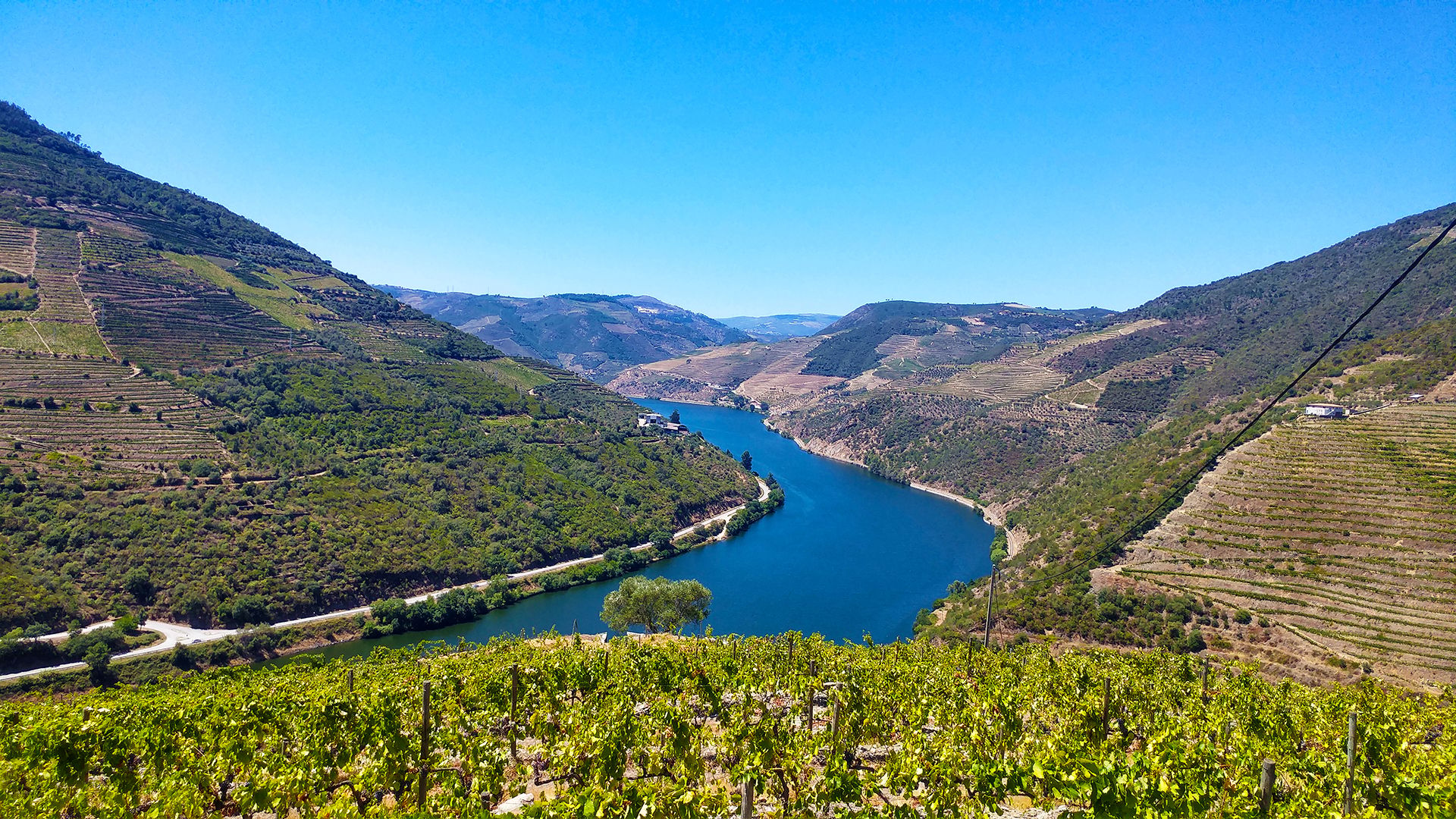 Quinta da Costa de Baixo - Bulas Winemakers, Portugal
