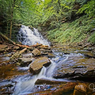 Rickett's Glen State Park (Pennsylvania), USA