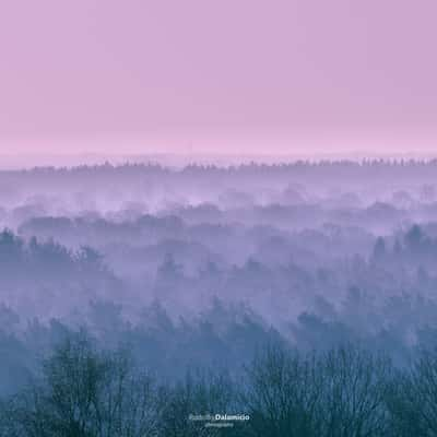 Rijssen in the Morning, Netherlands