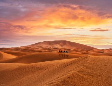 Sahara desert - Merzouga