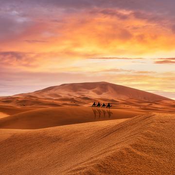 Sahara desert - Merzouga, Morocco