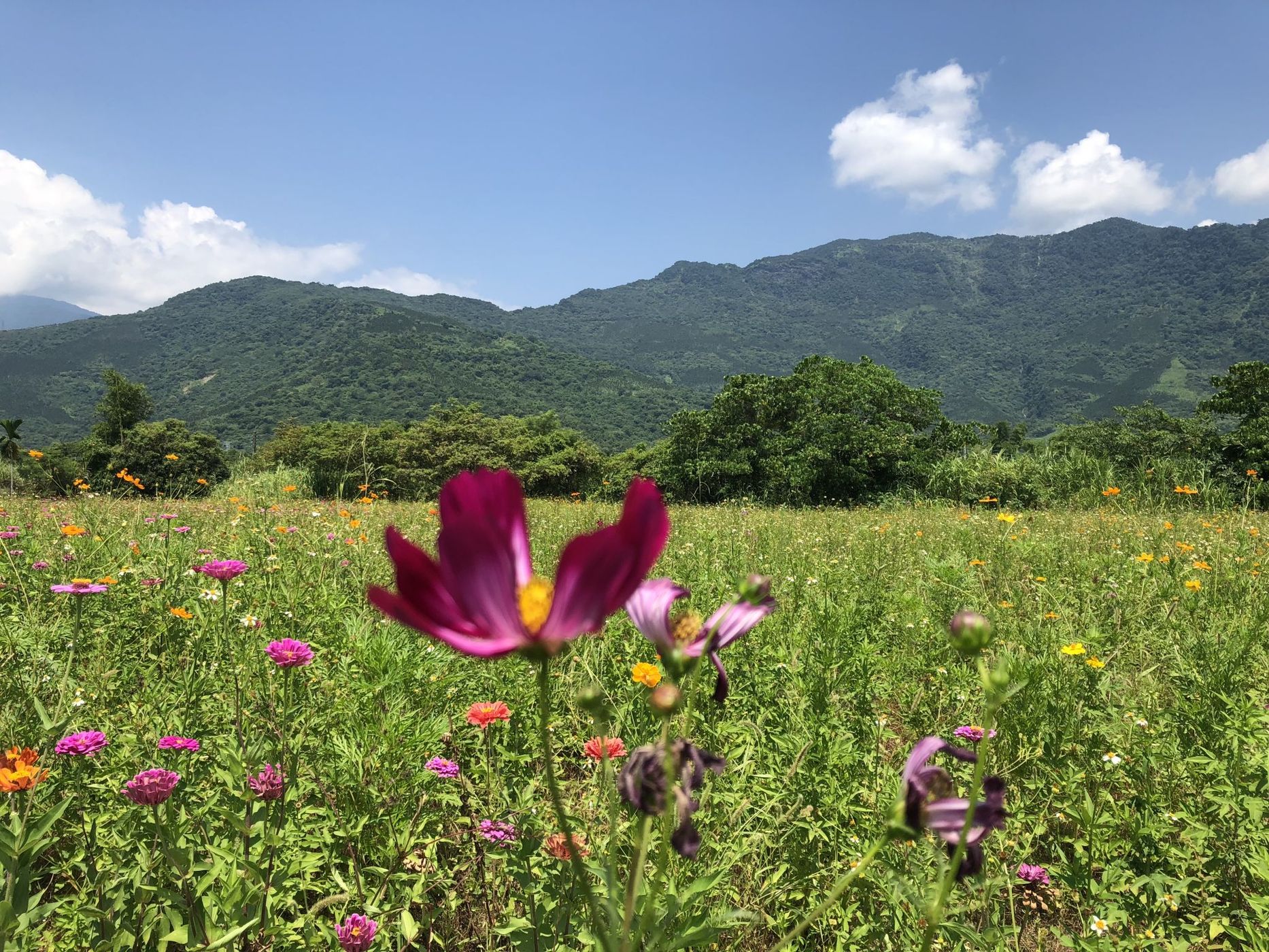 Shoufeng, Taiwan