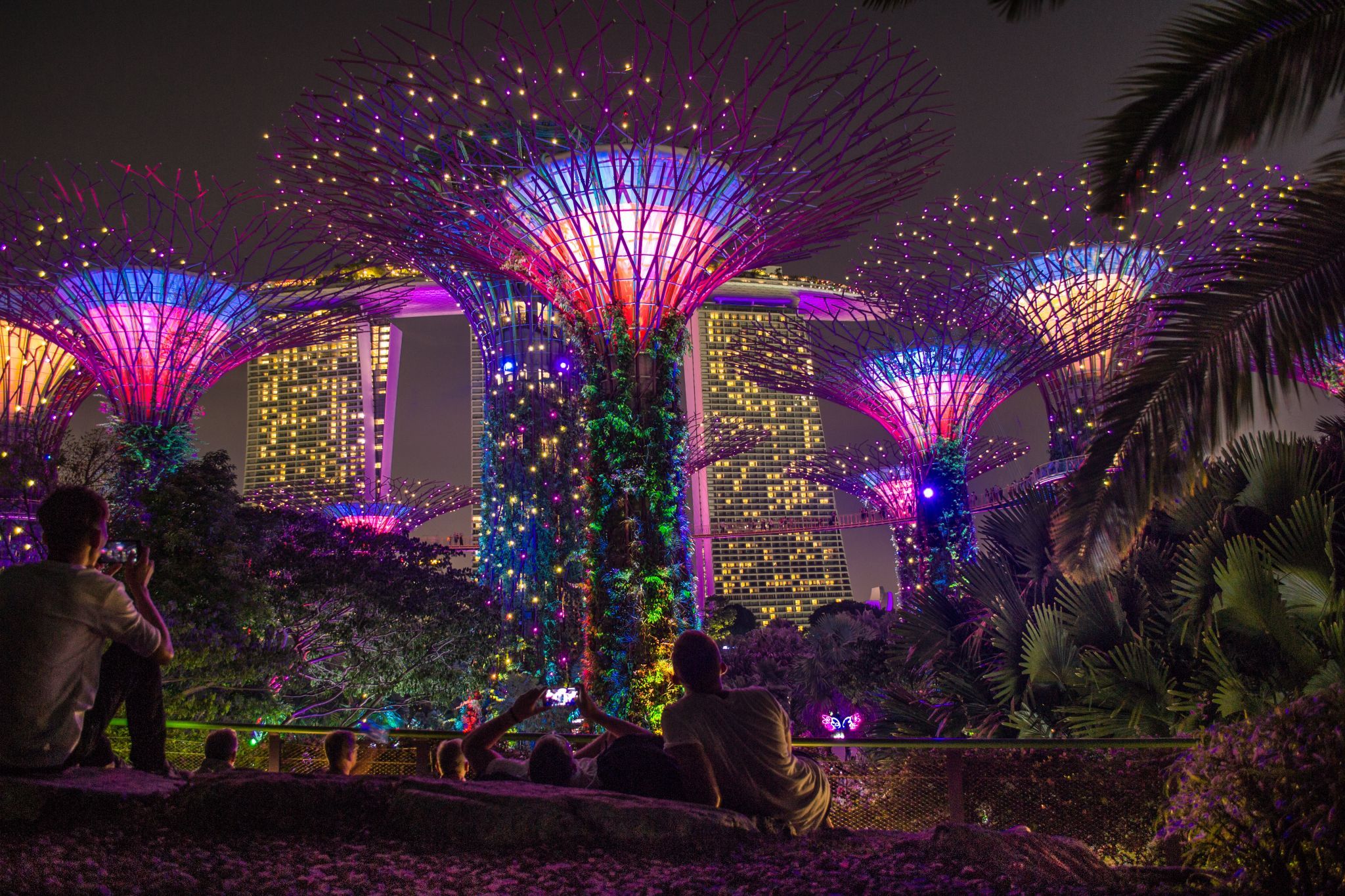 Supertree Grove - Gardens by the bay, Singapore, Singapore