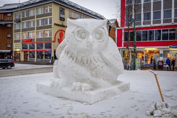 snow sculptures