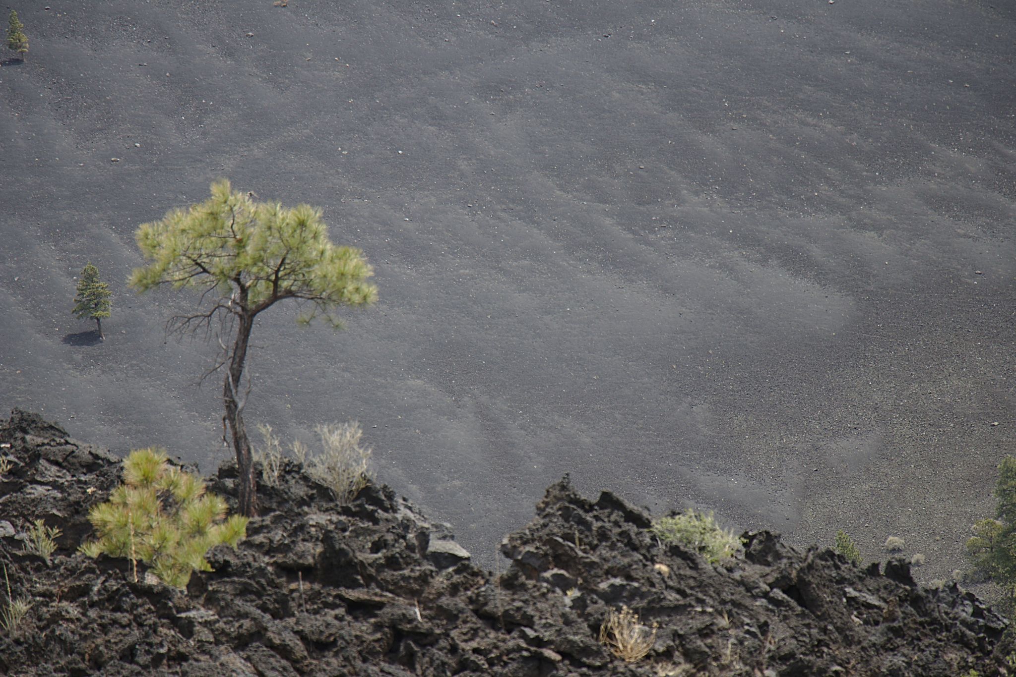Sunset Crater Volcano, Arizona, USA