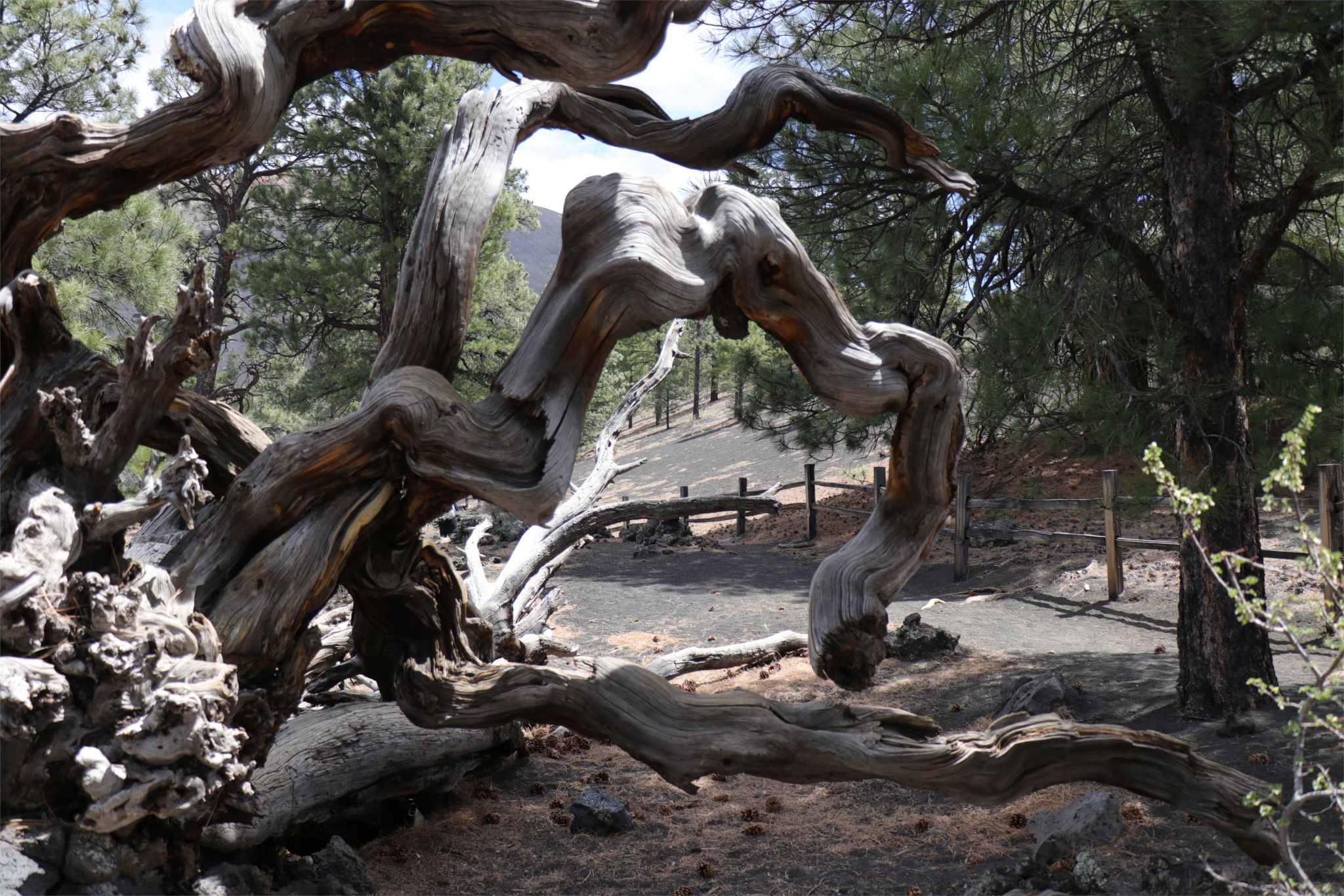 Sunset Crater Volcano, Arizona, USA
