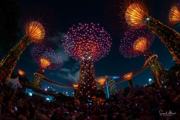 Supertree Grove, Gardens by the bay