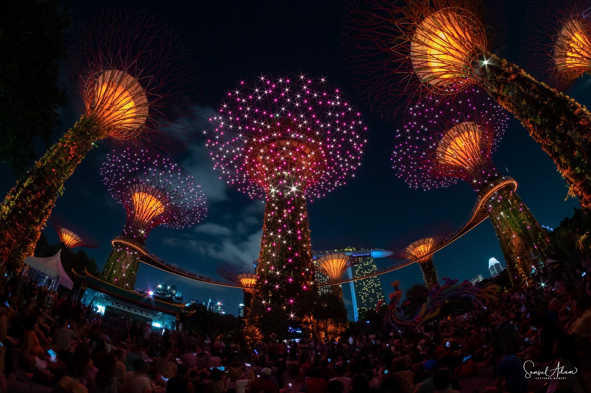 Supertree Grove, Gardens by the bay, Singapore