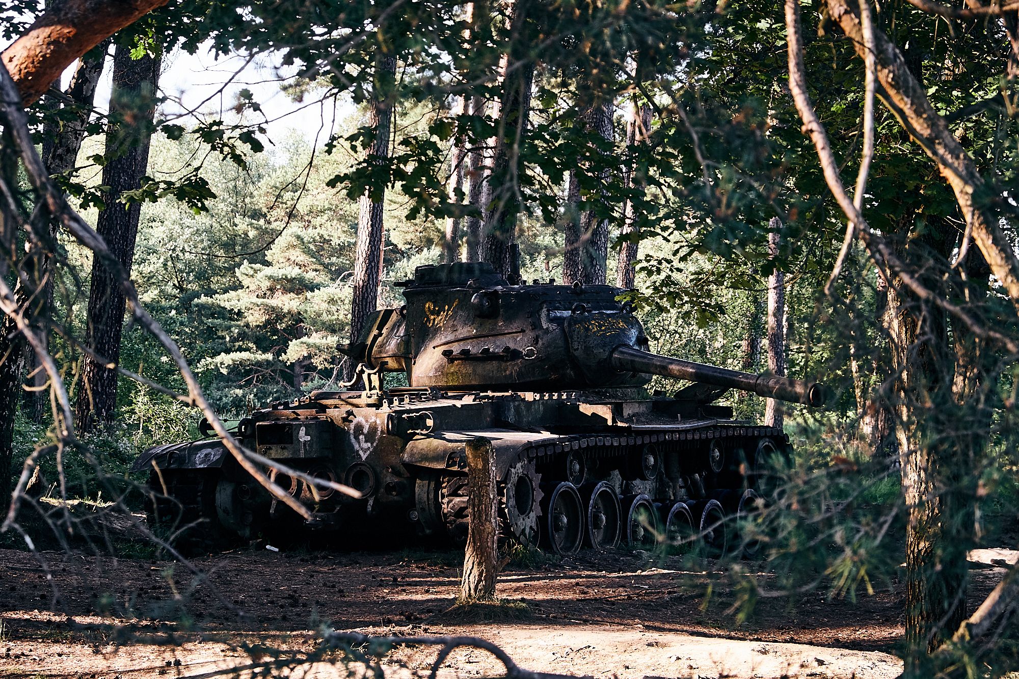 Tank at the nature reserve 'Brander Wald', Germany