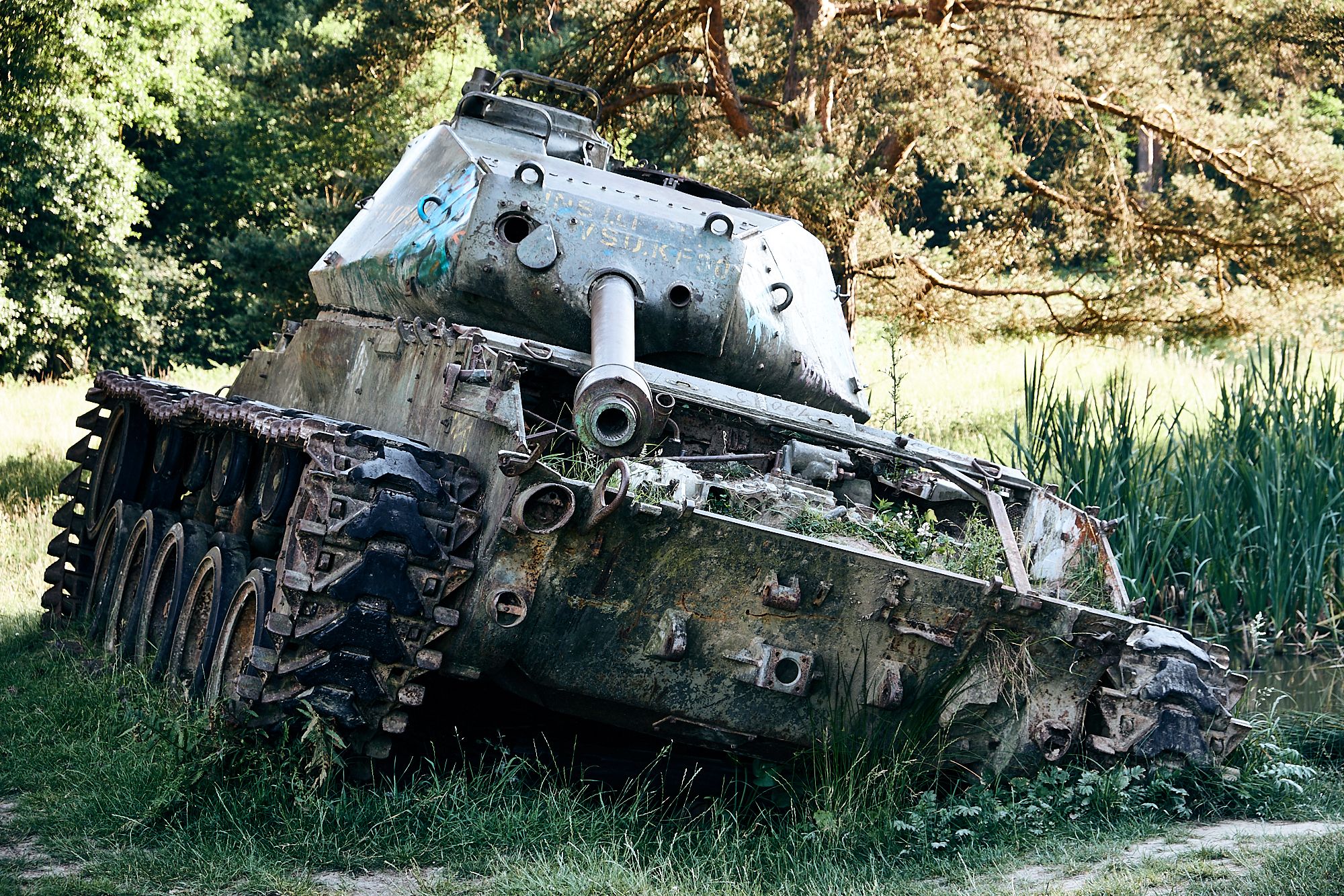 Tank at the nature reserve 'Brander Wald', Germany