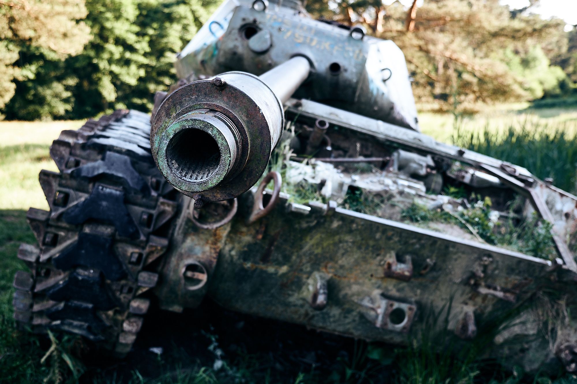 Tank at the nature reserve 'Brander Wald', Germany