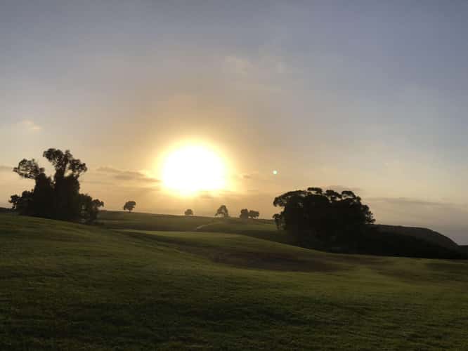 Torrey Pines golf course