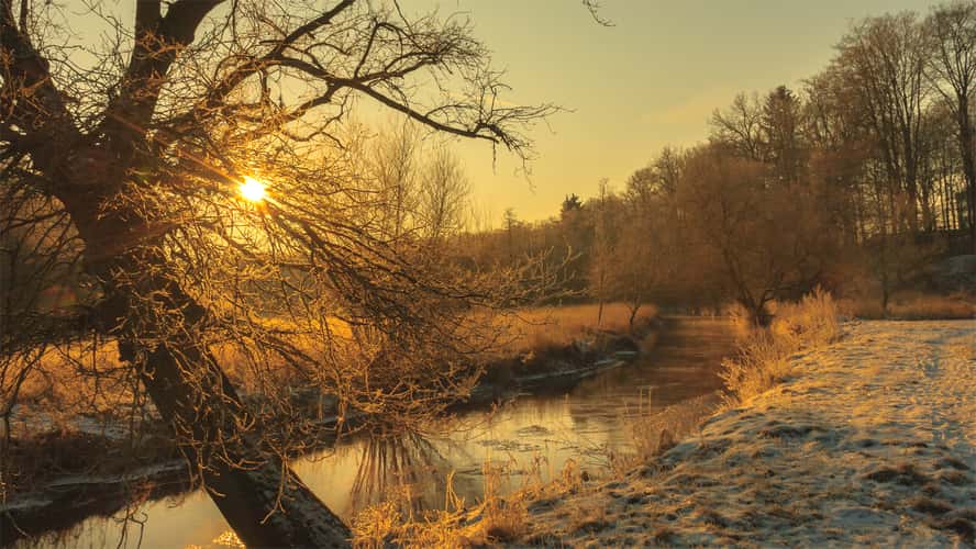 Untergrünhagen, Bad Fallingbostel, Germany