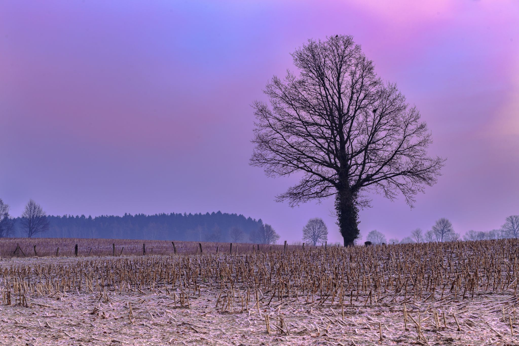 Vierde, Germany