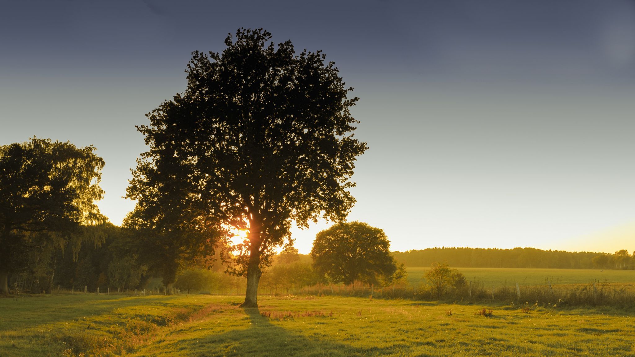 Vierde, Germany