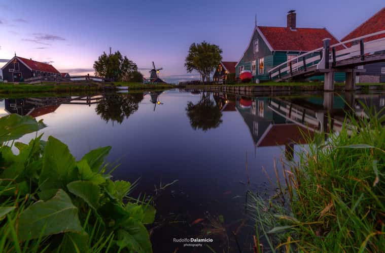 Cheese Farm at Zaanse Schans