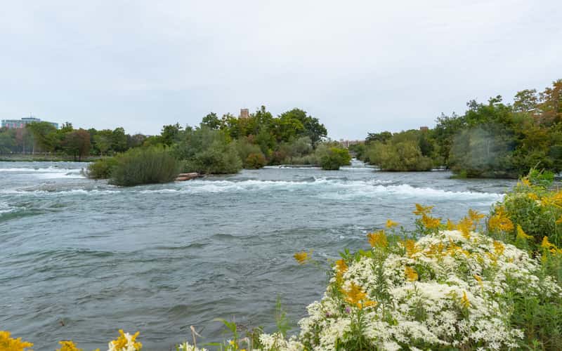 American Falls from Goat Island