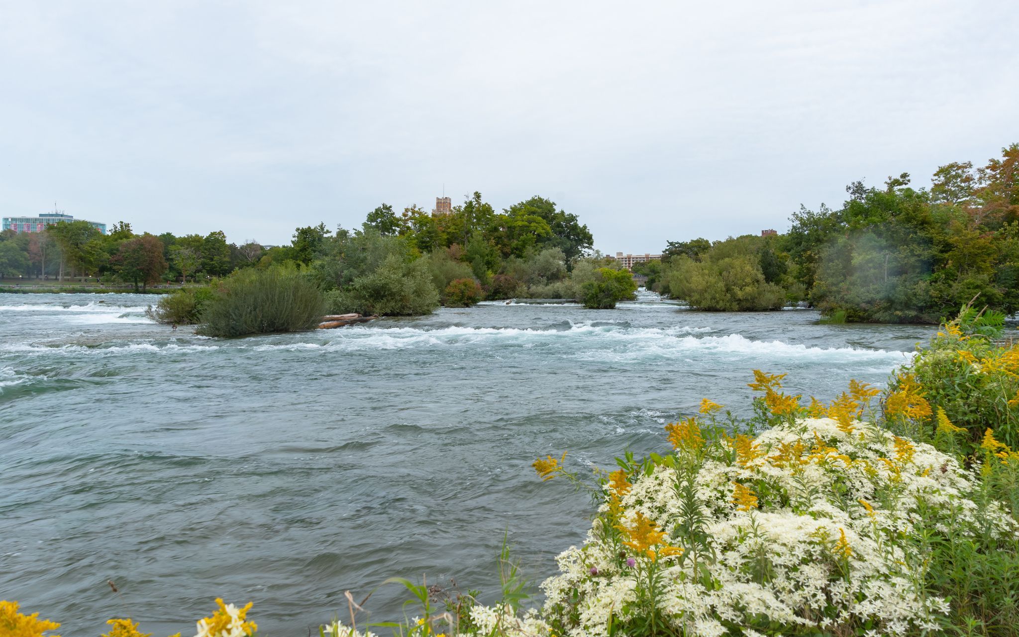 American Falls from Goat Island, USA