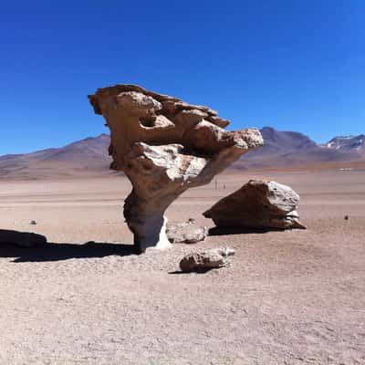 Arbol de Piedra, Bolivia