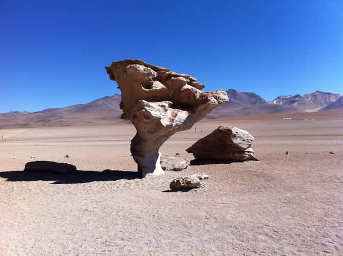 Arbol de Piedra