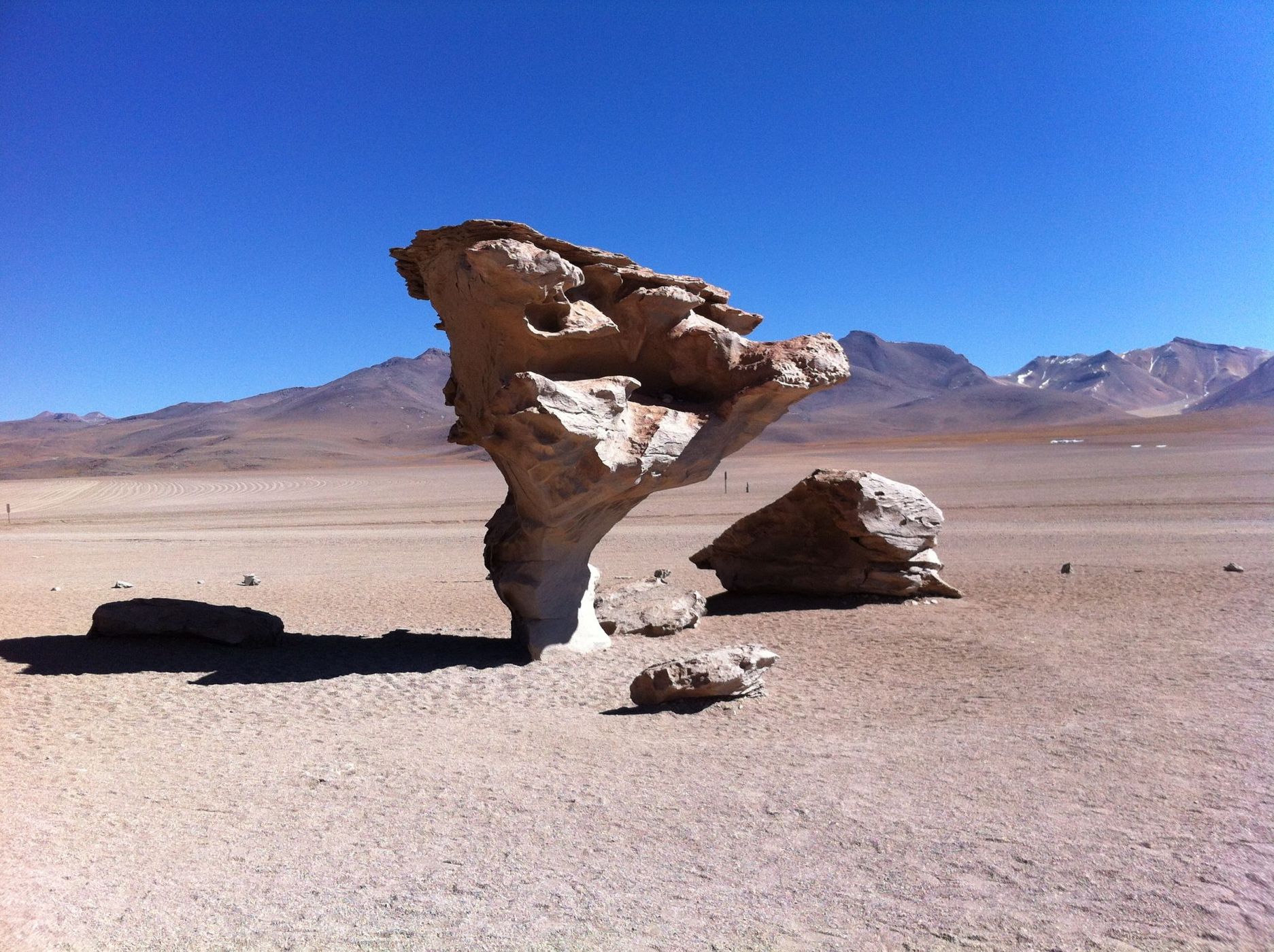 Arbol de Piedra, Bolivia