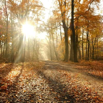 Autumn in the Netherlands, Netherlands