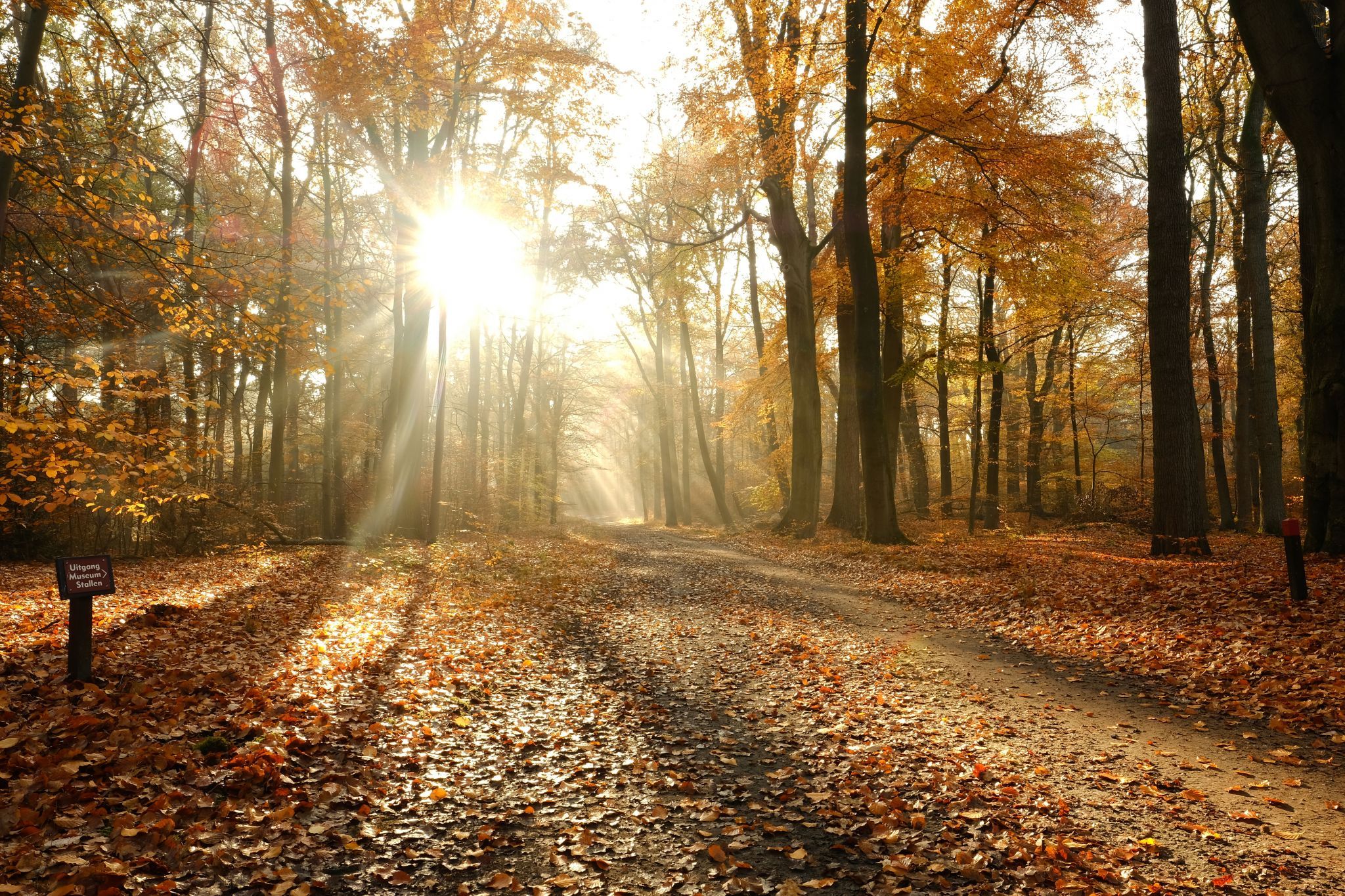 Autumn in the Netherlands, Netherlands