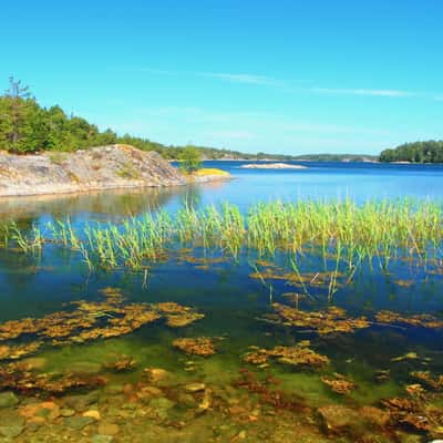 Bathing in the Baltic, Sweden