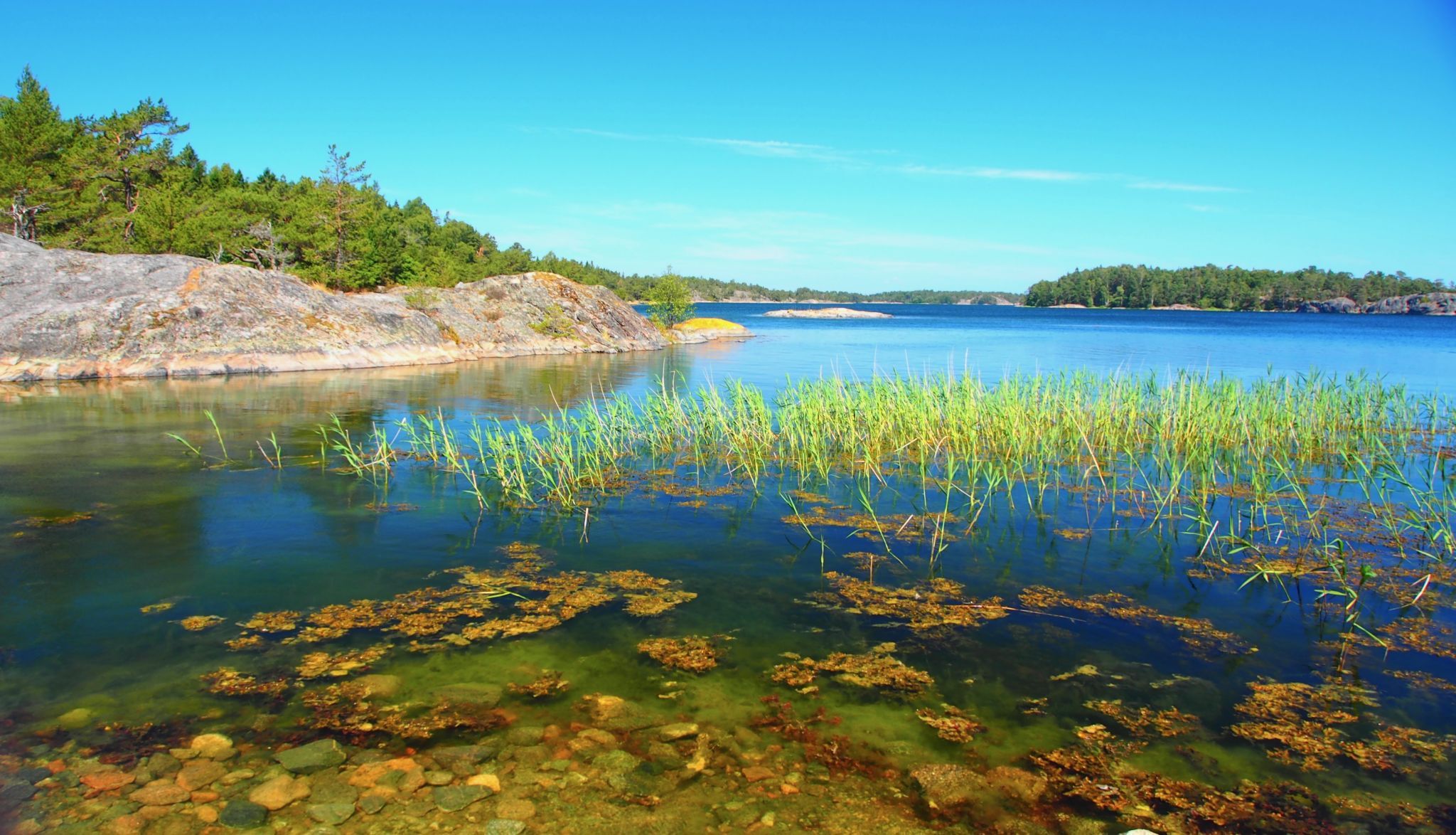 Bathing in the Baltic, Sweden