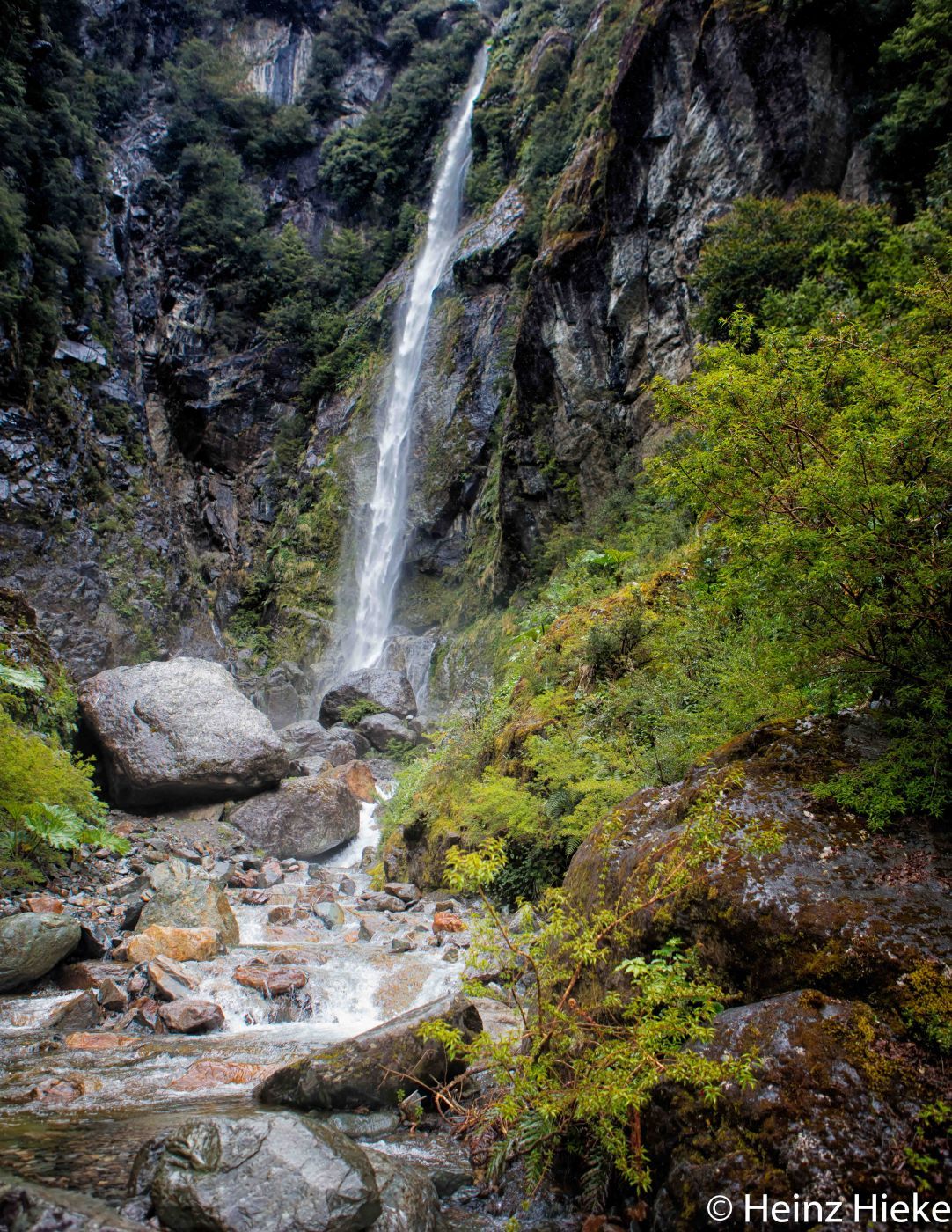 Bosque Encantado, Chile