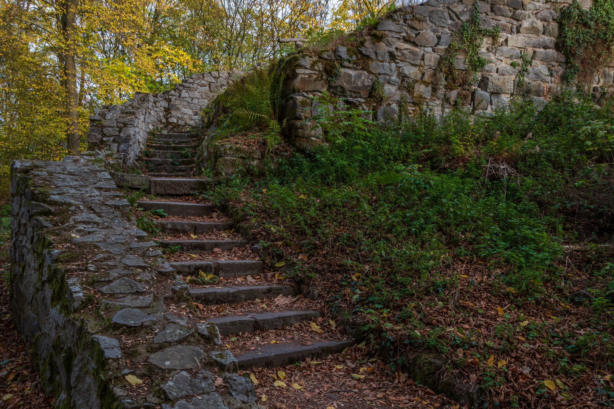Rosenau Castle Ruin, Germany