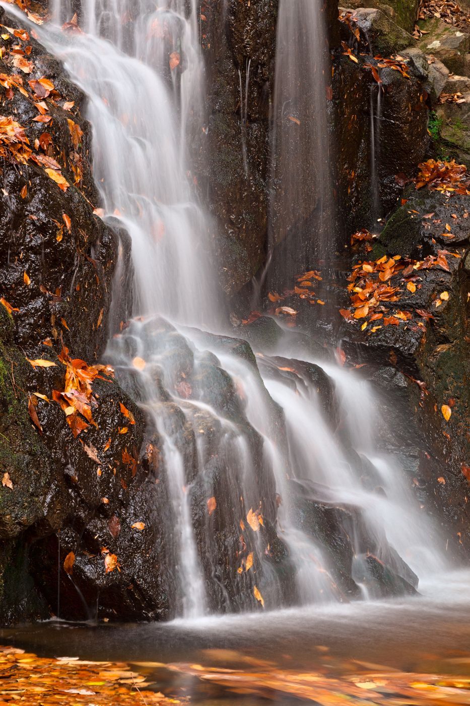 Cascade Falls, USA