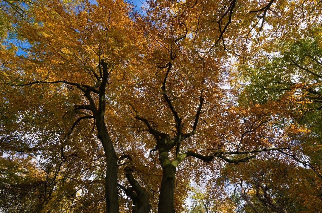 Clingendael Estate, Netherlands