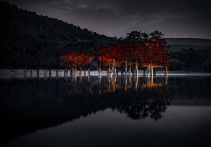 Cypresses lake