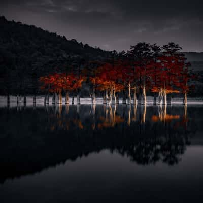 Cypresses lake, Russian Federation