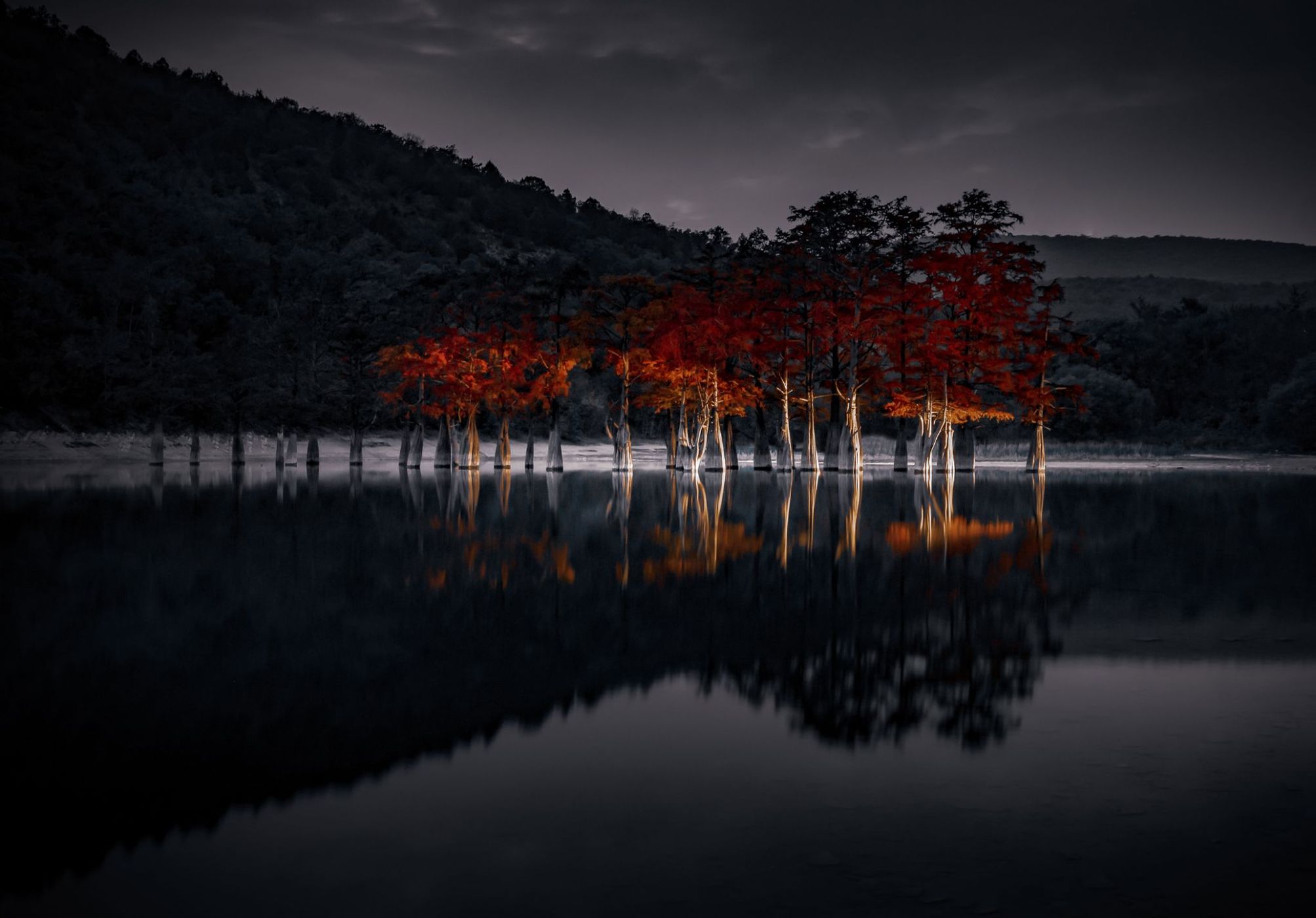 Cypresses lake, Russian Federation