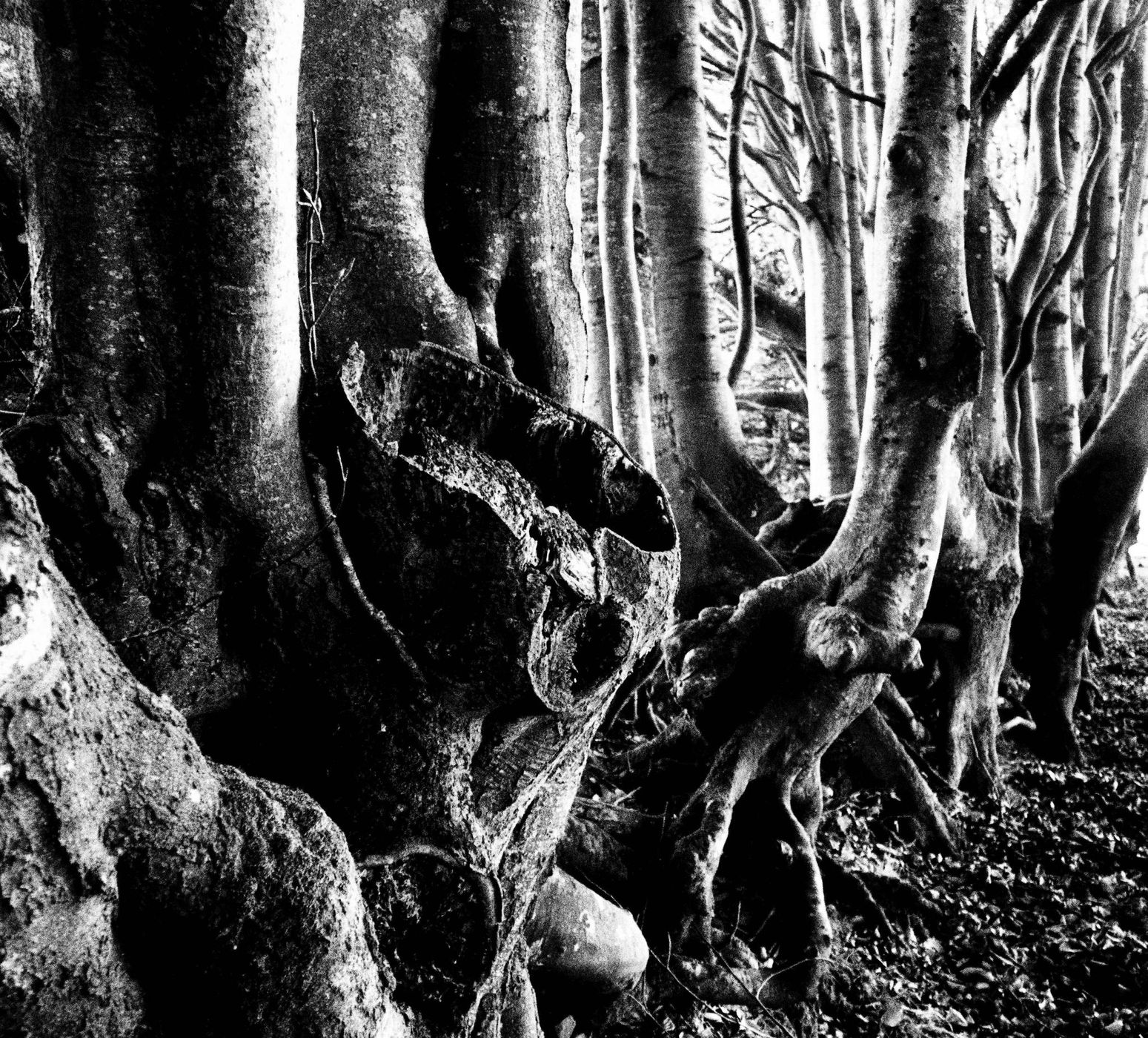 Devon in autumn, United Kingdom