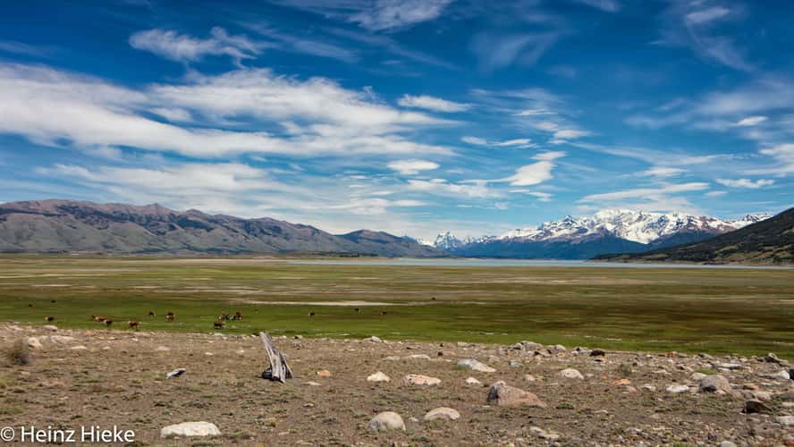 El Calafate