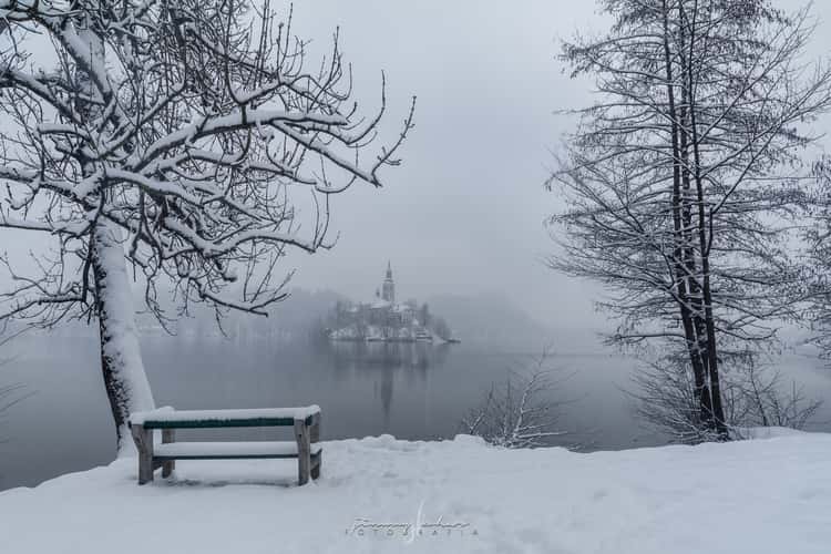 Lake Bled - Wooden Jetty - Rock covered with coins