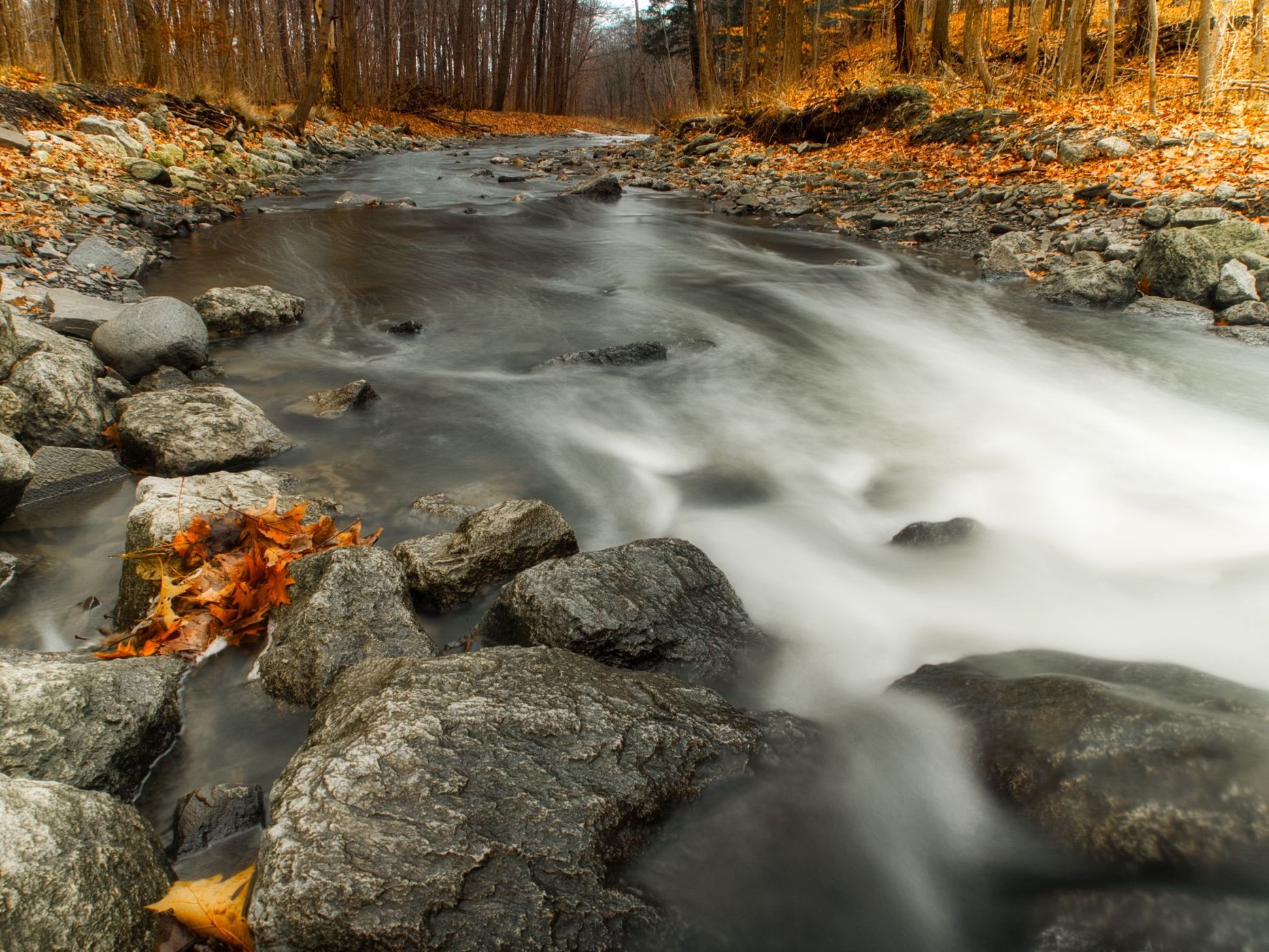Sawmill Valley Trail, Canada