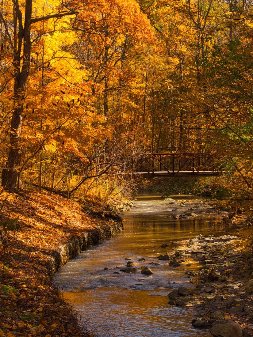 Sawmill Valley Trail, Canada