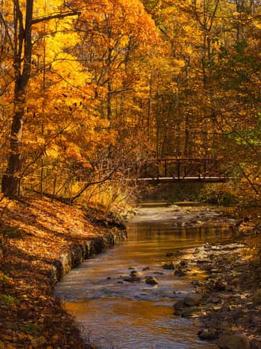 Sawmill Valley Trail