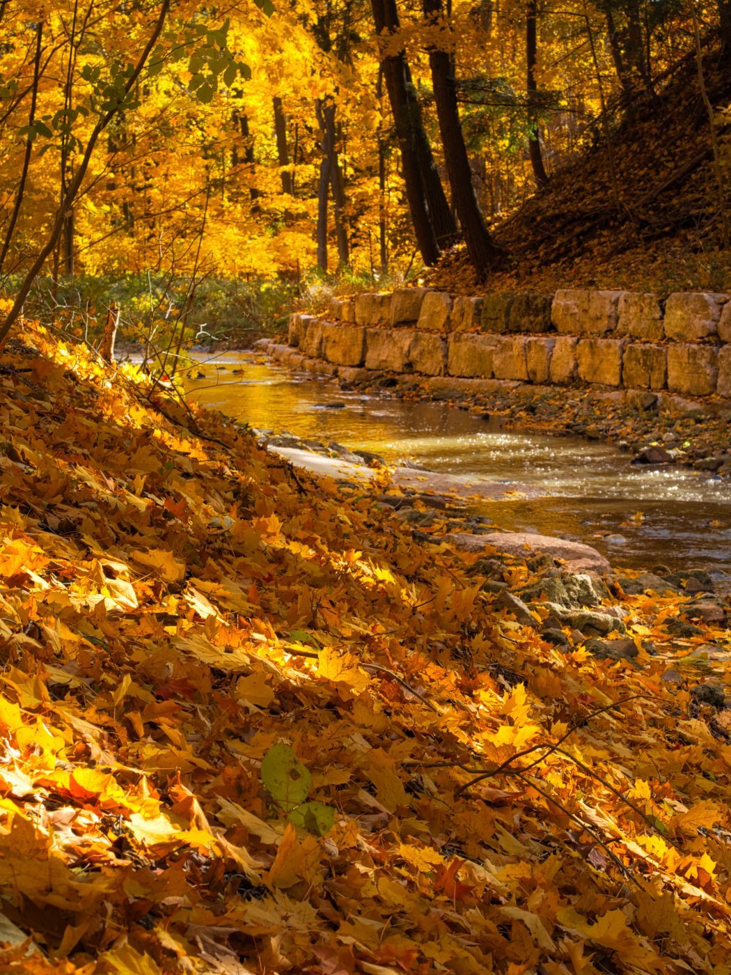 Sawmill Valley Trail, Canada