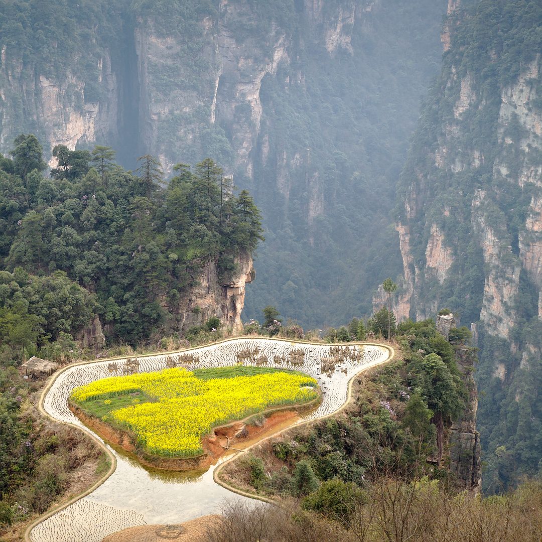 Fields in the sky, China