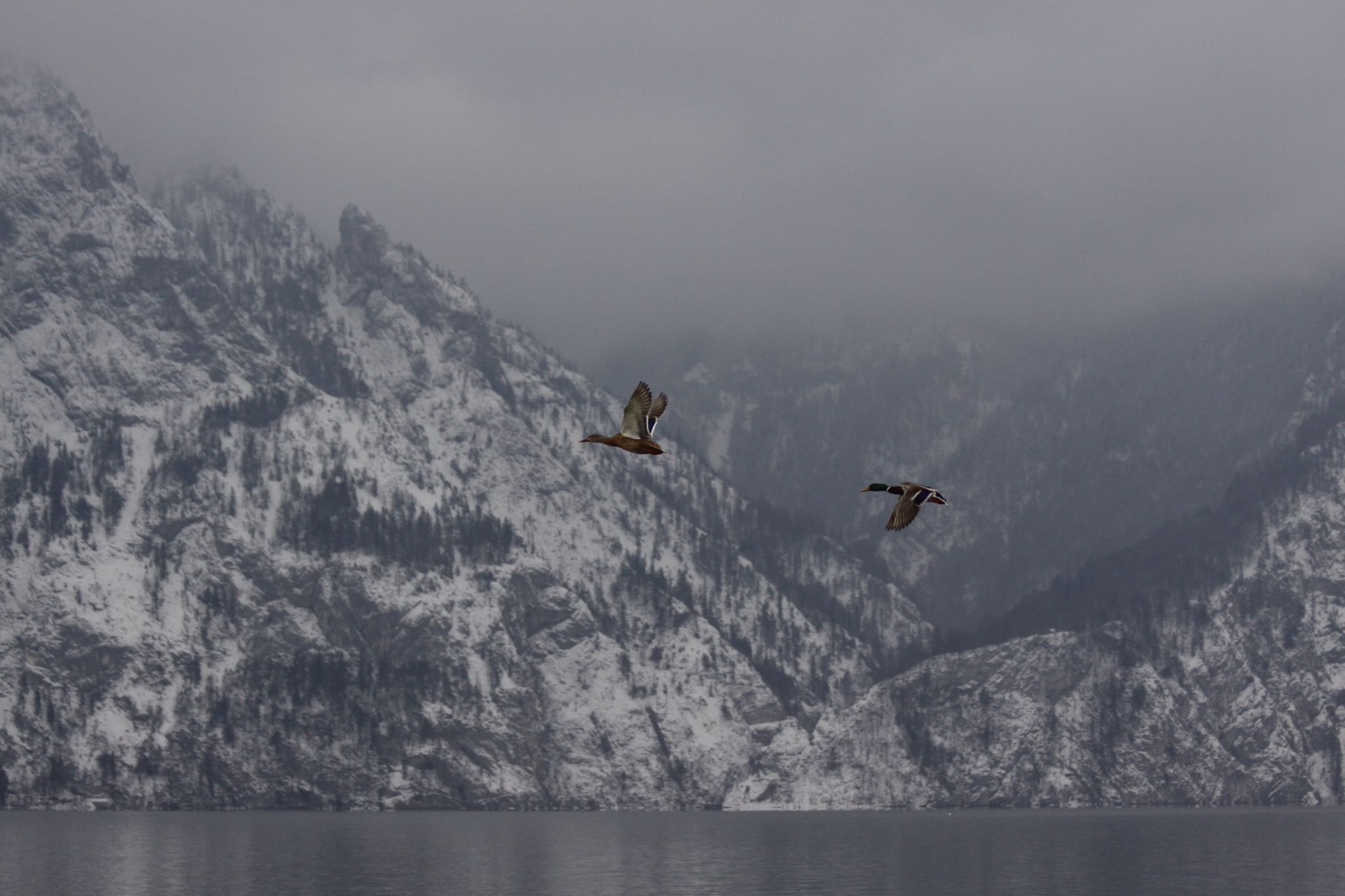 Gmunden, Austria