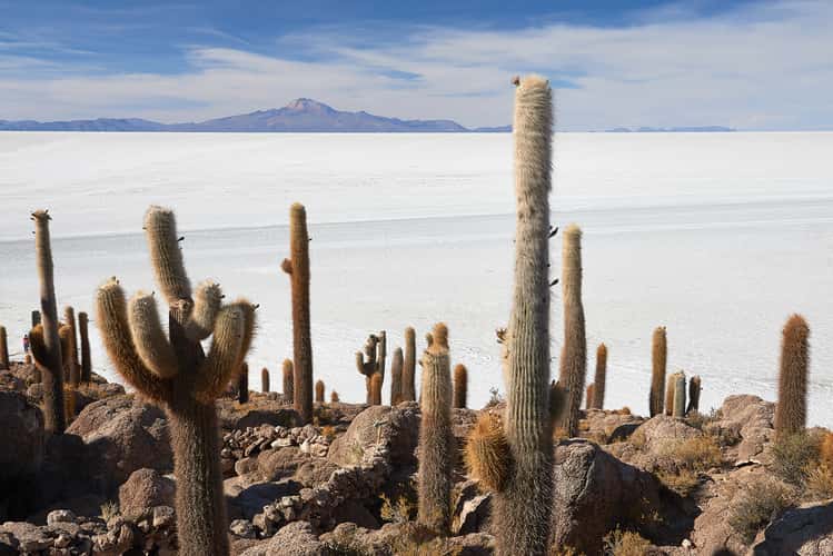 Isla Incahuasi